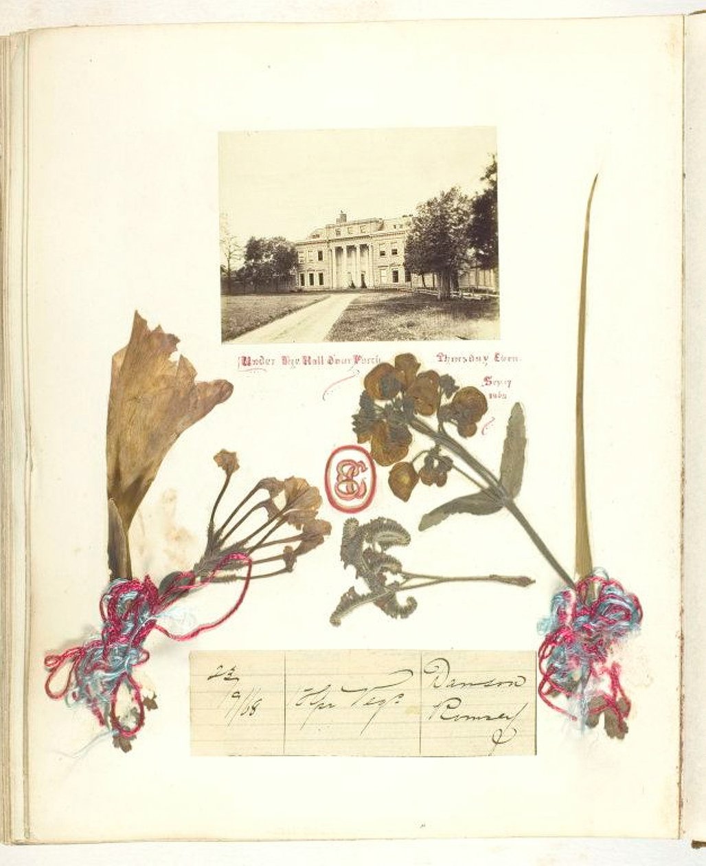 Bez názvu [pohled na Broadlands se sušenými květinami], 1868. od Georgina Cowper