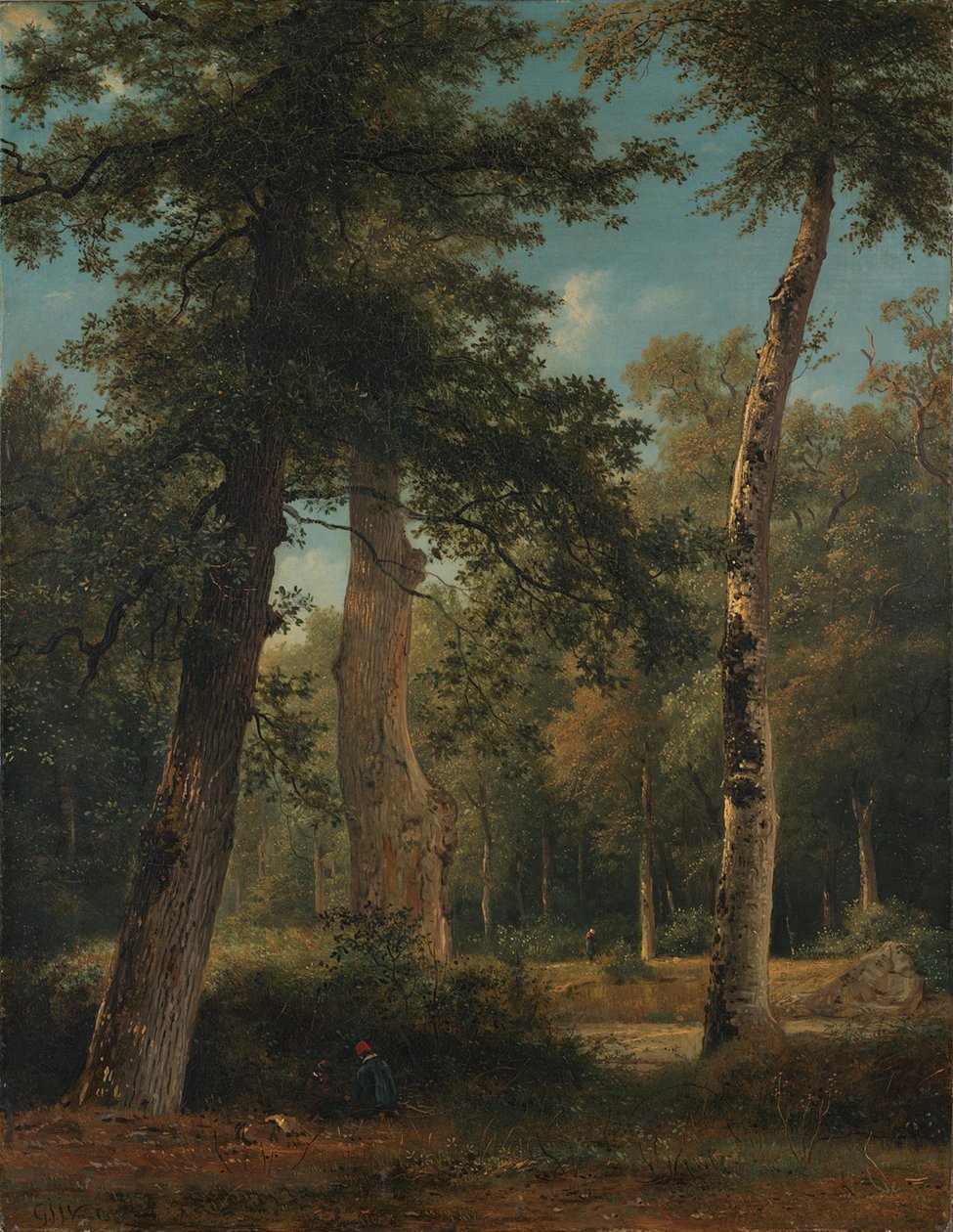 Les ve Fontainebleau od Georgius Jacobus Johannes van Os