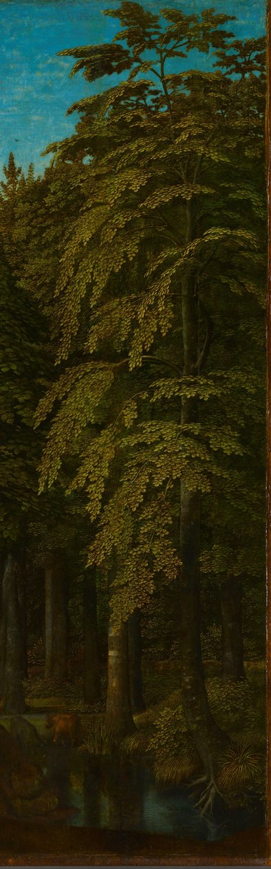 Äußere rechte Flügel eines Triptychons mit Blick in einen Wald od Gerard David