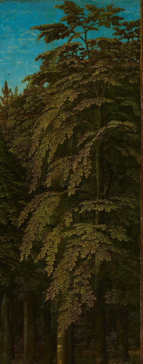Pohled v lese, vnější pravé křídlo triptychu od Gerard David