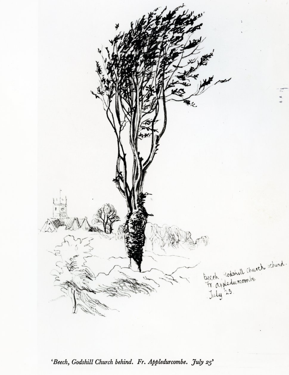 Buk, vzadu Godshill Church. Fr. Appledurcombe. 25. července kolem 60. let 19. století od Gerard Manley Hopkins