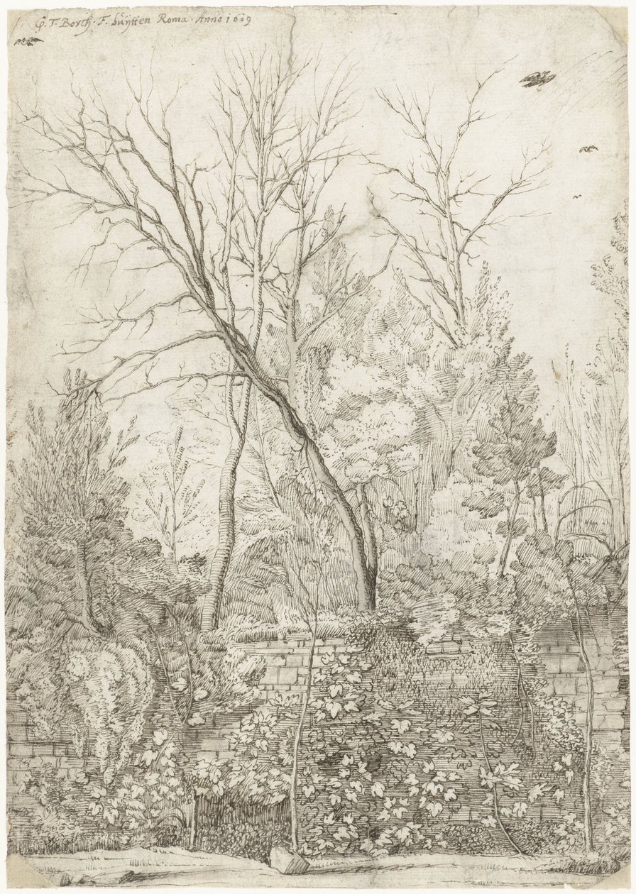 Zahrada Villa Madama, mimo Řím od Gerard ter Borch