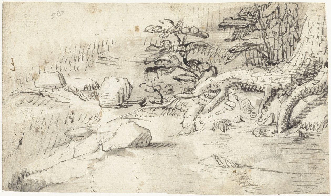 Studie kořenů stromu v blízkosti potoka od Gerard ter Borch (I)