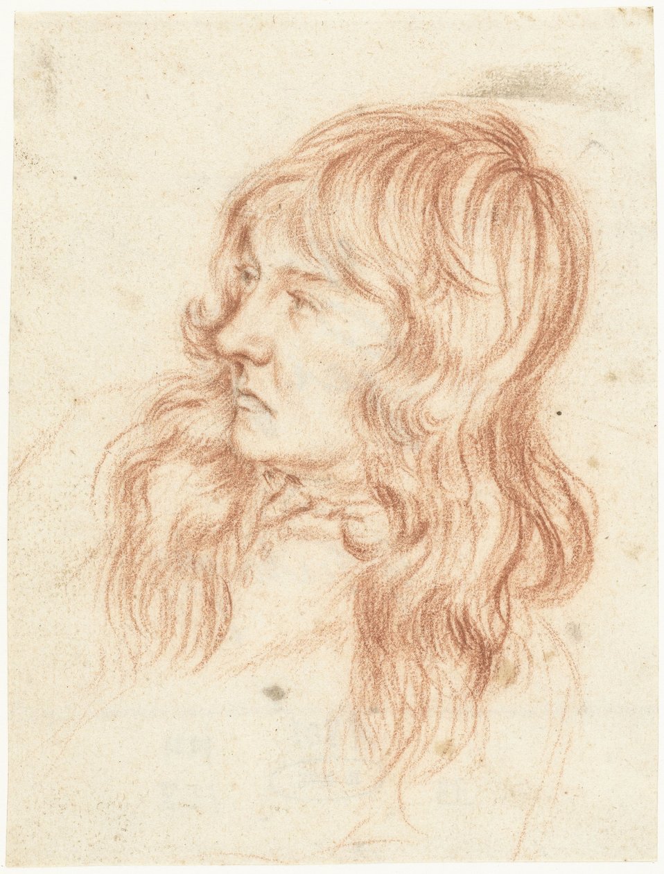 Hlava mladého muže, vlevo od Gerard ter Borch (II)