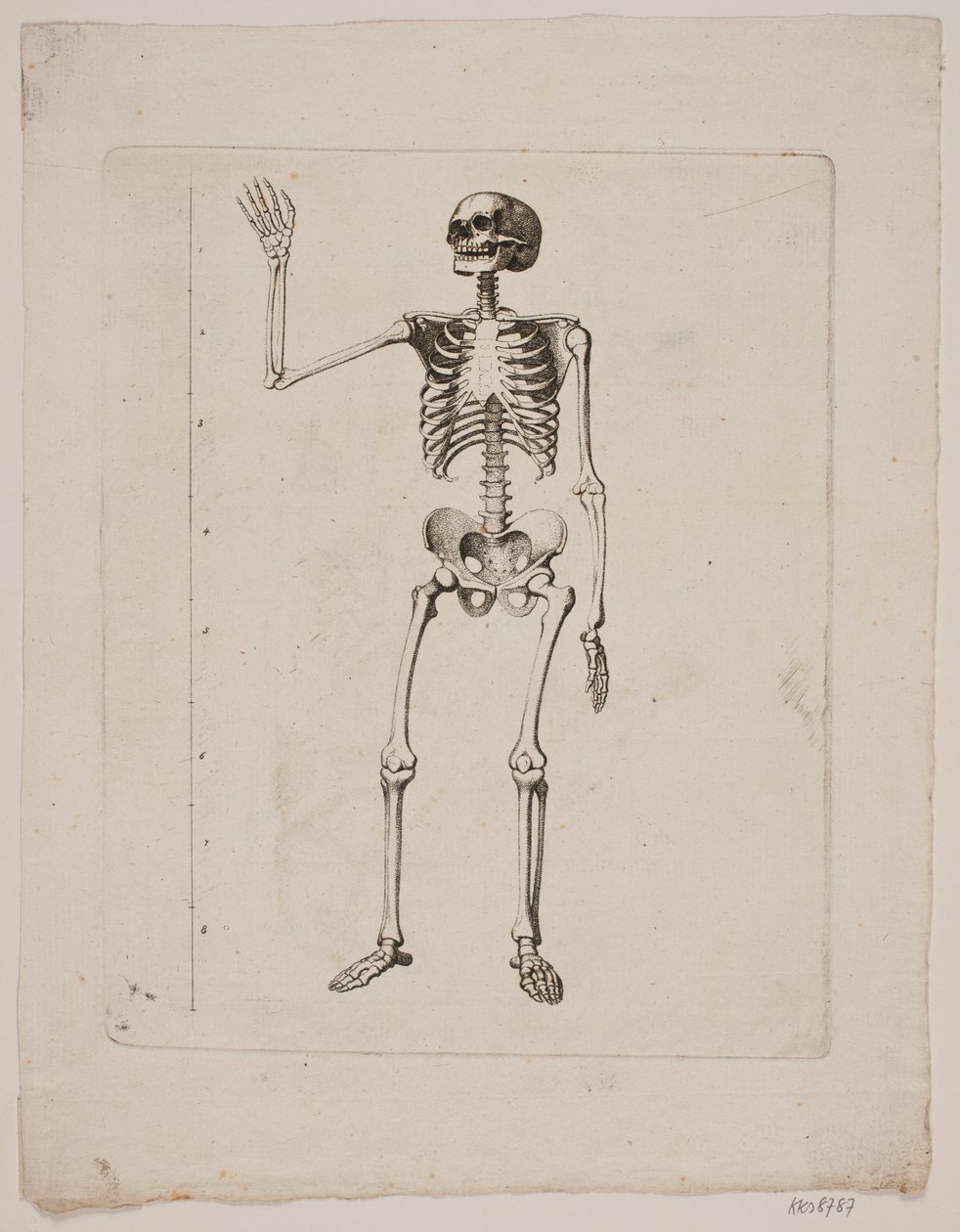 Kostra od Gerhard Ludvig Lahde