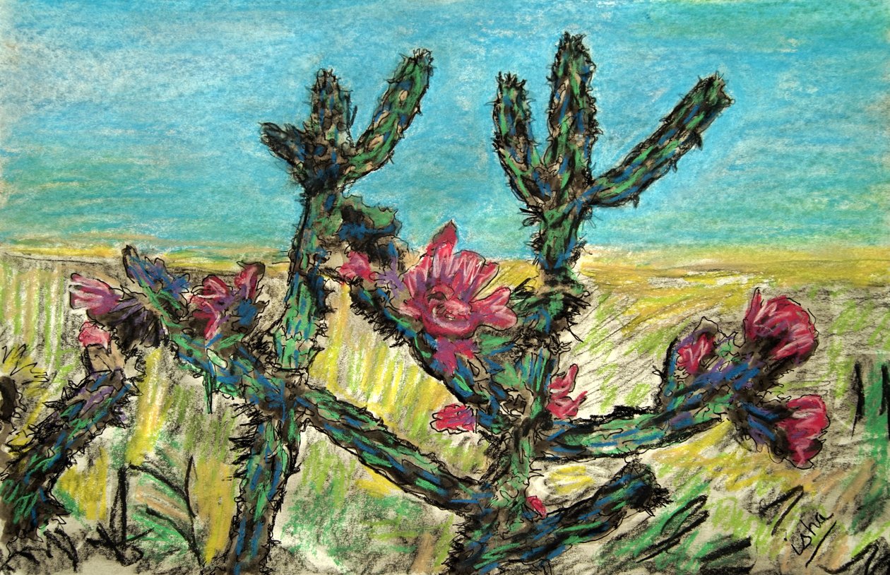 Cholla v květu, 2017 (kresba na papíře) od Gerhardt Isringhaus