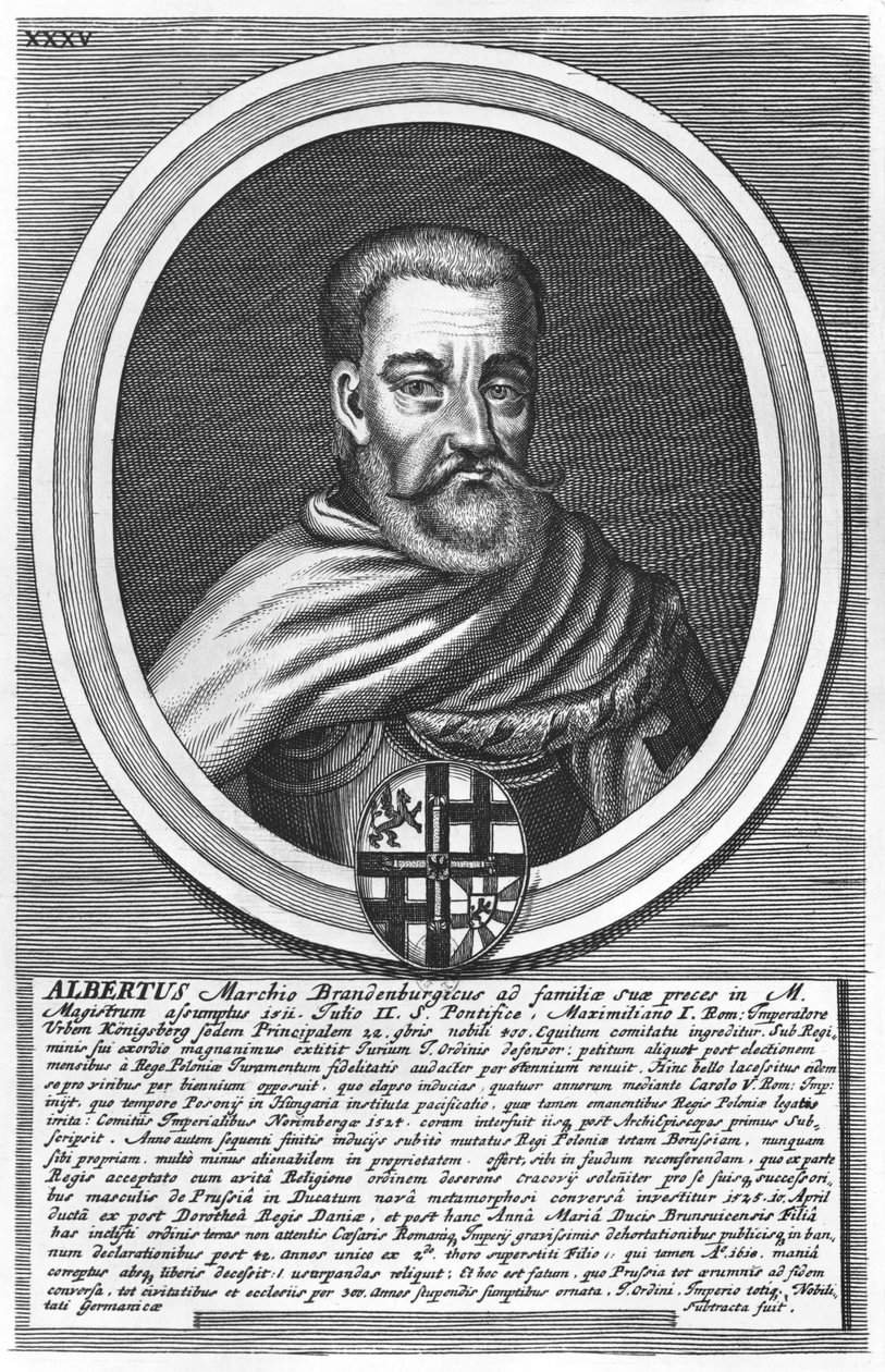 Albert of Brandenburg (xylograf) od German School