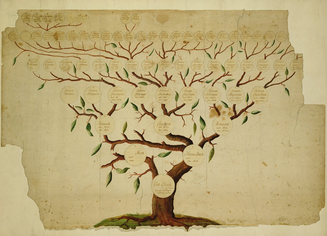 Bachův rodokmen, cca 1750-1770 (pero, inkoust a tužka na papíře) od German School
