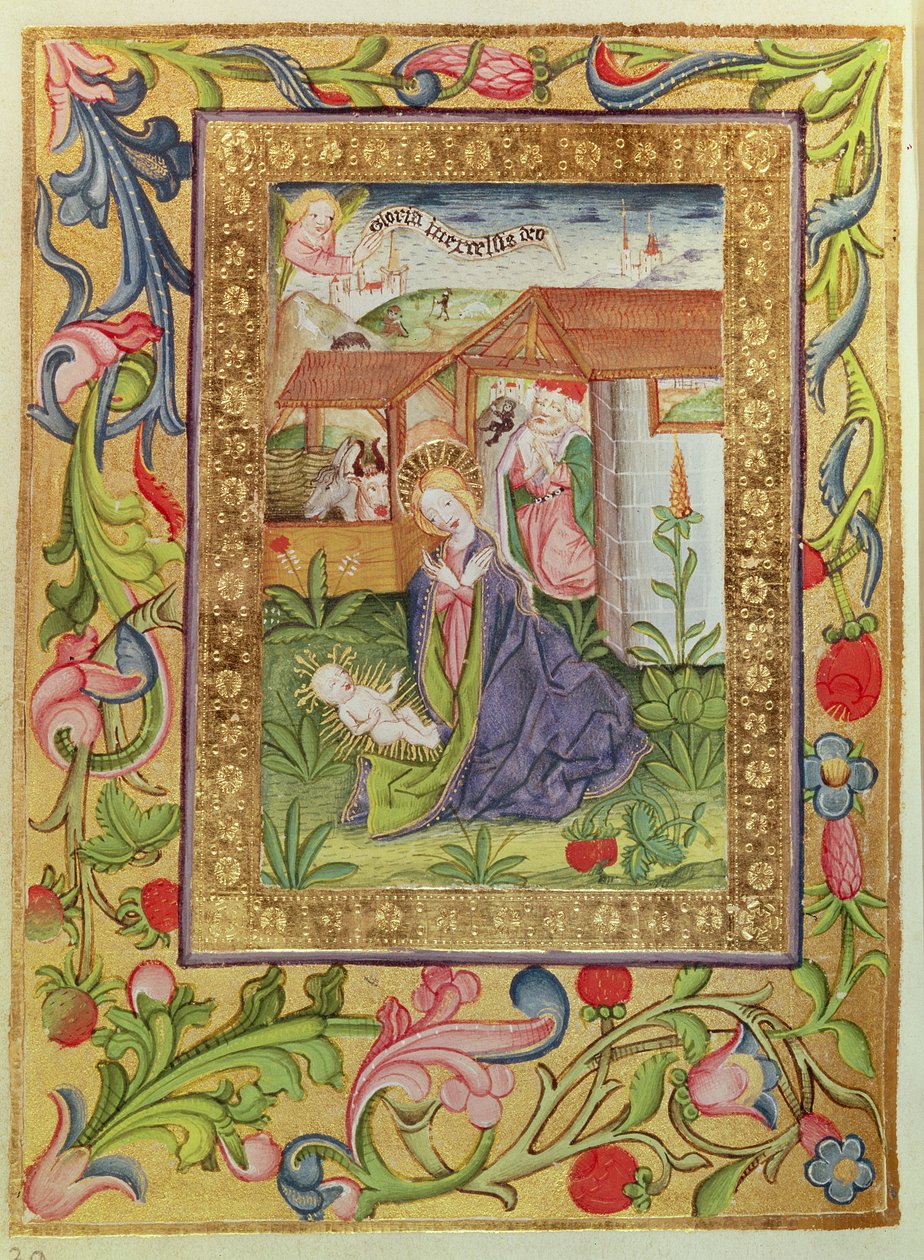 Codex Ser Nov 2599 f. 39v Narození Krista od German School