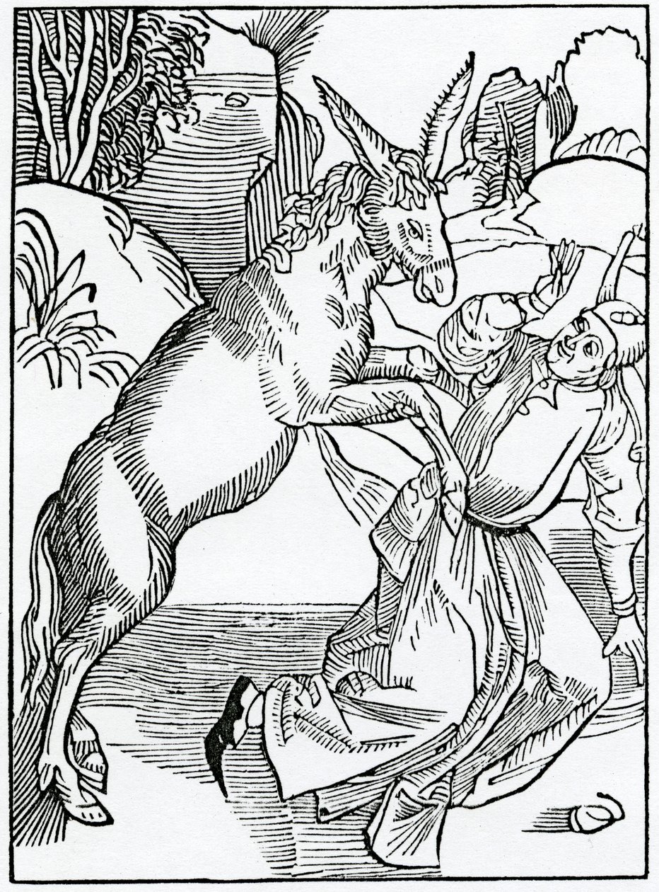 Ilustrace bláznů utlačovaných vlastní hloupostí, ilustrace z anglického překladu Alexandra Barclaye „The Ship of Fools“, z vydání vydaného v roce 1874 od German School