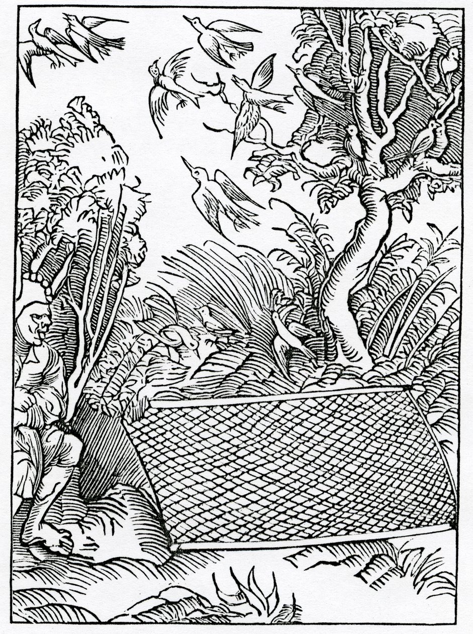 O našich otevřených radách, ilustrace z anglického překladu Alexandra Barclaye „The Ship of Fools“, z vydání vydaného v roce 1874 od German School