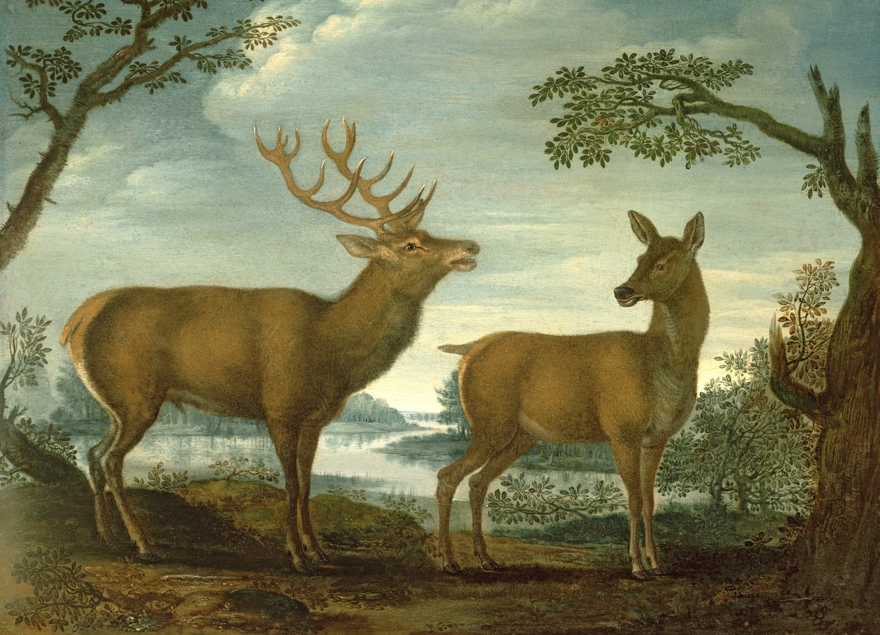 Jelen a laň v zalesněné krajině (panel) od German School