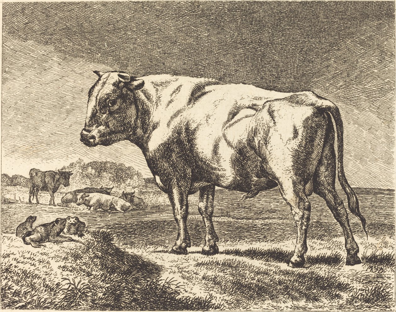 Kráva od German 19th Century