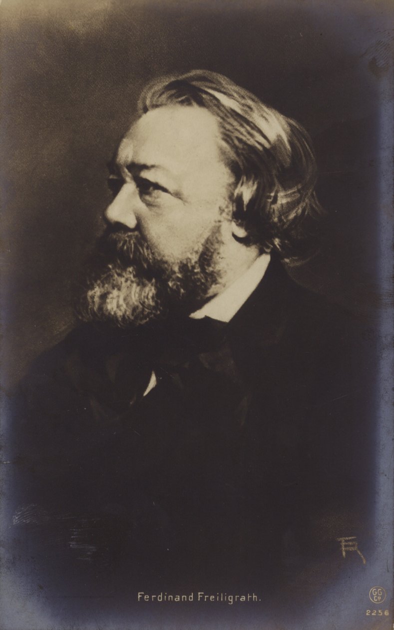 Ferdinand Freiligrath (1810-1876), německý básník (čb fotografie) od German Photographer
