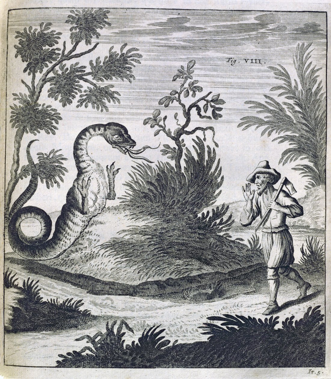 Strašný drak, kolem 1660 od German School