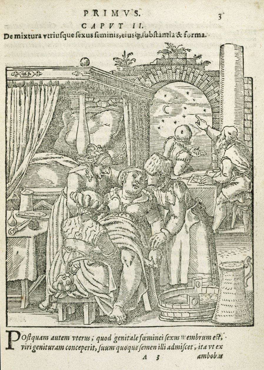 Žena v práci, ilustrace z kapitoly 2, knihy 1 knihy O početí a růstu muže od Rueff, 1587 od German School