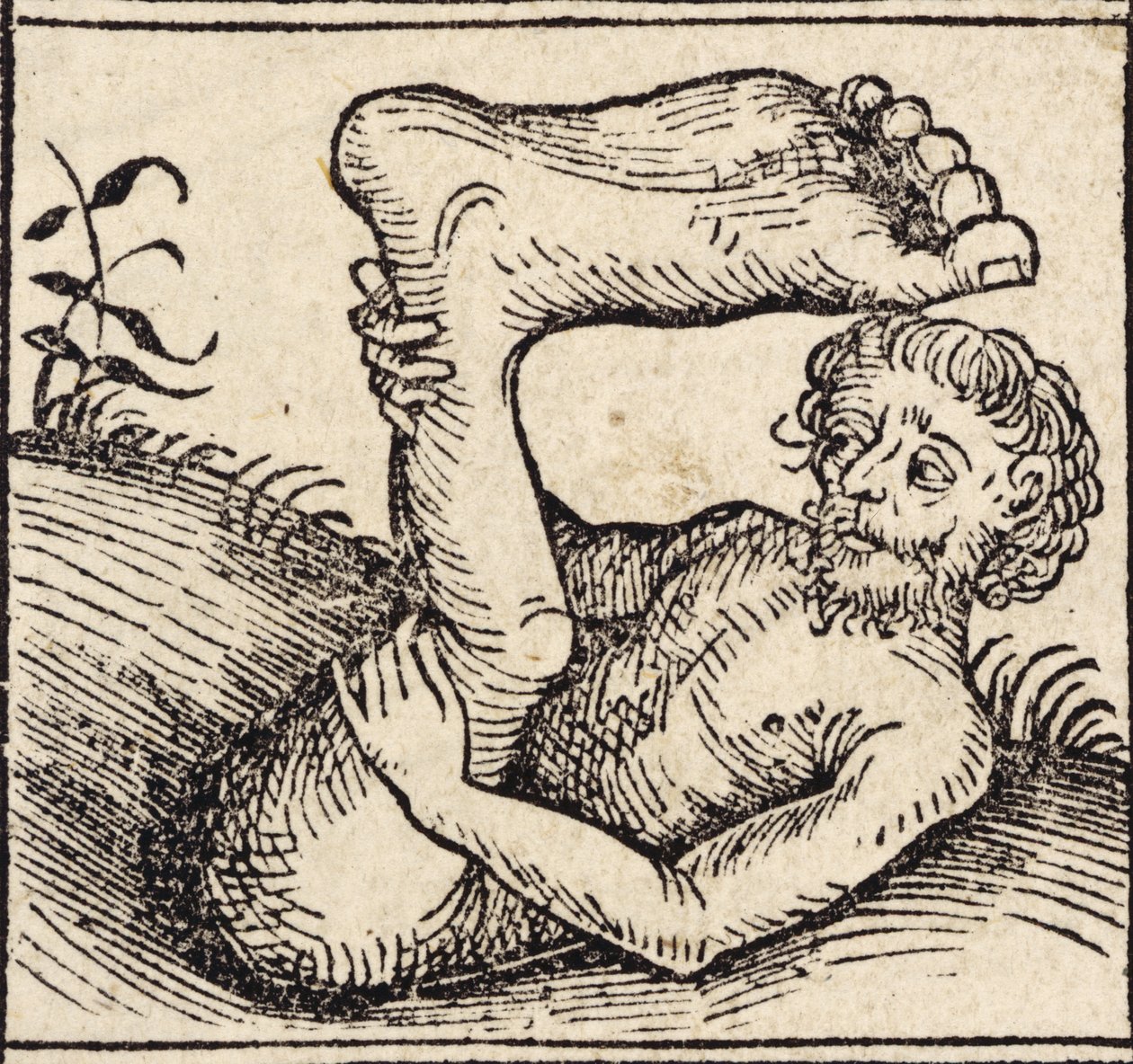Sciopod, Muž s oteklou nohou, z ``Registrum Hujus Operis Libri Cronicarum cum Figuri et Imagibus ab Inicio Mundi