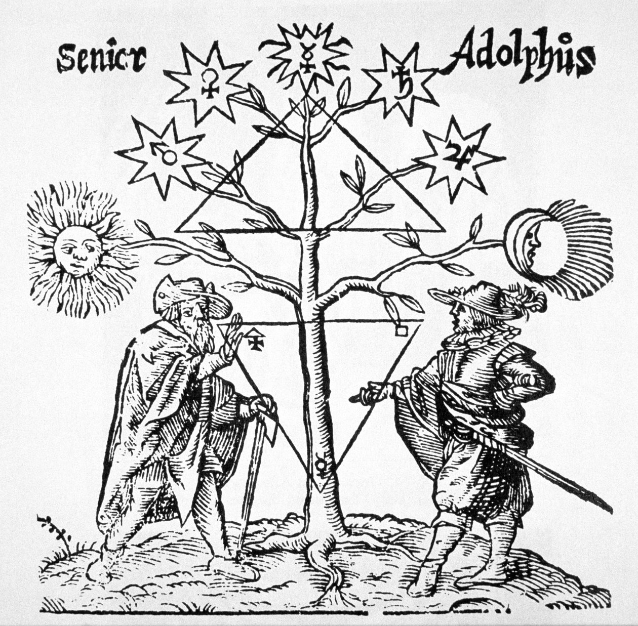 Alchymistický strom, schematický a symbolický, z knihy Museum Hermeticum od Thomase Nortona (1749), ilustrovaný v dějinách magie vydané koncem 19. století. od German School