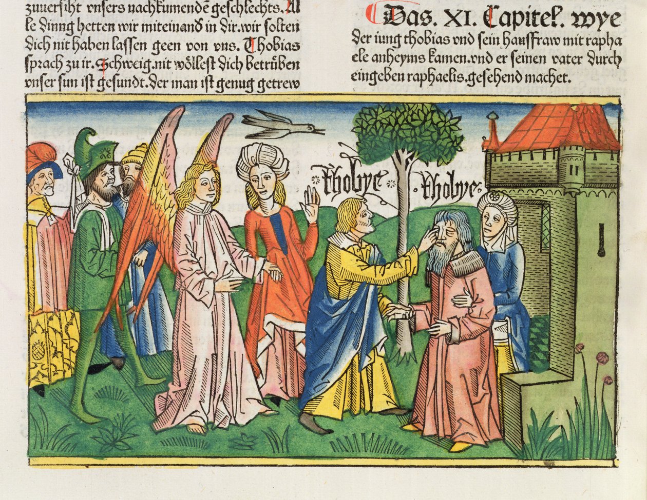 Apokryfy: Tobiáš vrací zrak svému otci Tobitsovi žlučí ryby z norimberské bible (Biblia Sacra Germanaica) (barevný dřevoryt) od German School