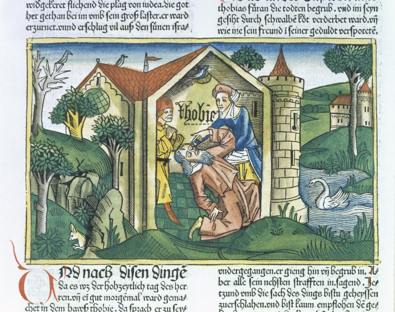 Apokryfy: Tobit je oslepen vrabčím trusem, z norimberské bible (Biblia Sacra Germanaica) (barevný dřevoryt) od German School