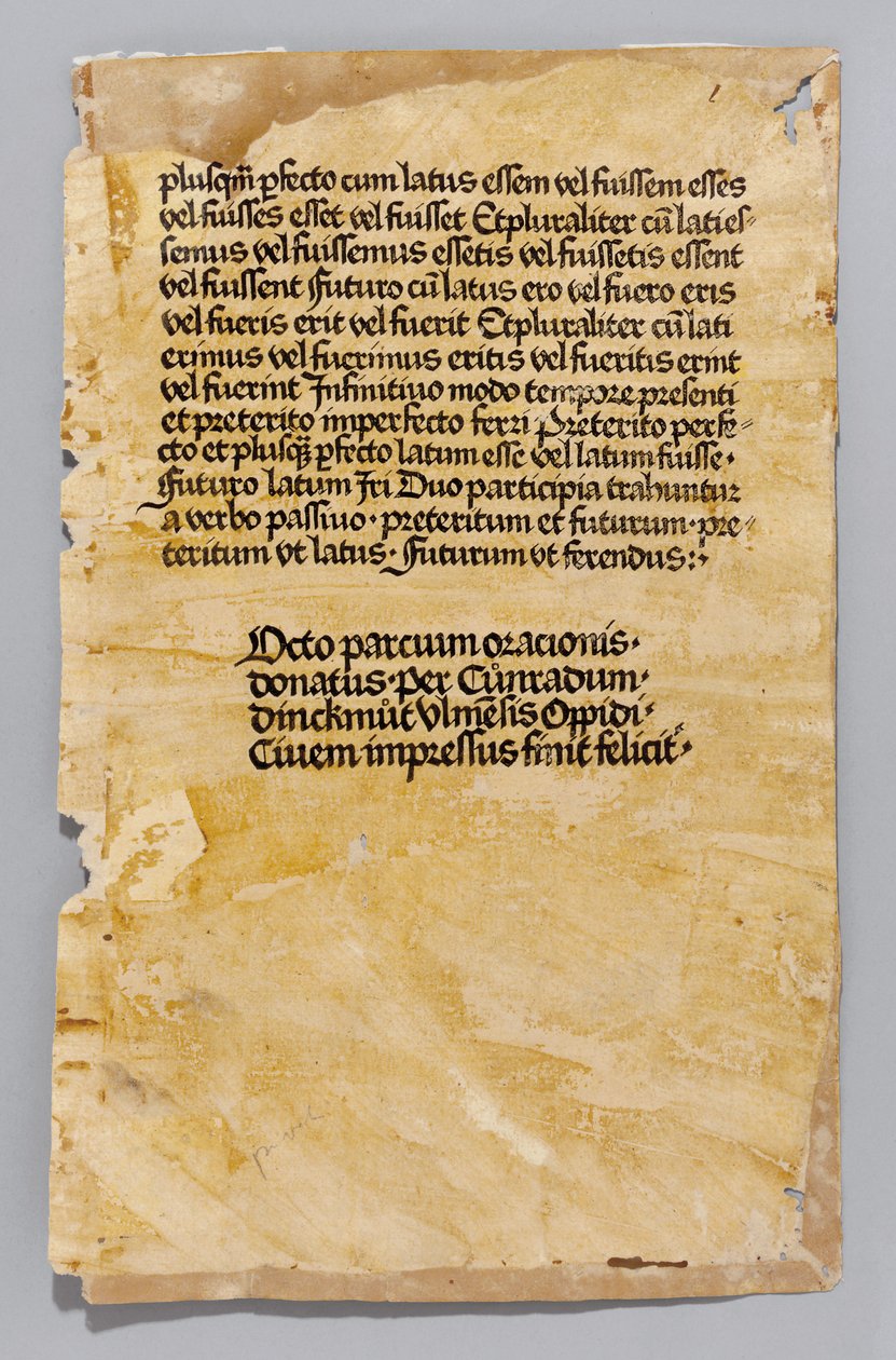 Ars Minor od Aelius Donatus, tisk Konrad Dinckmut, Ulm, c.1476-80 (knihovník) od German School