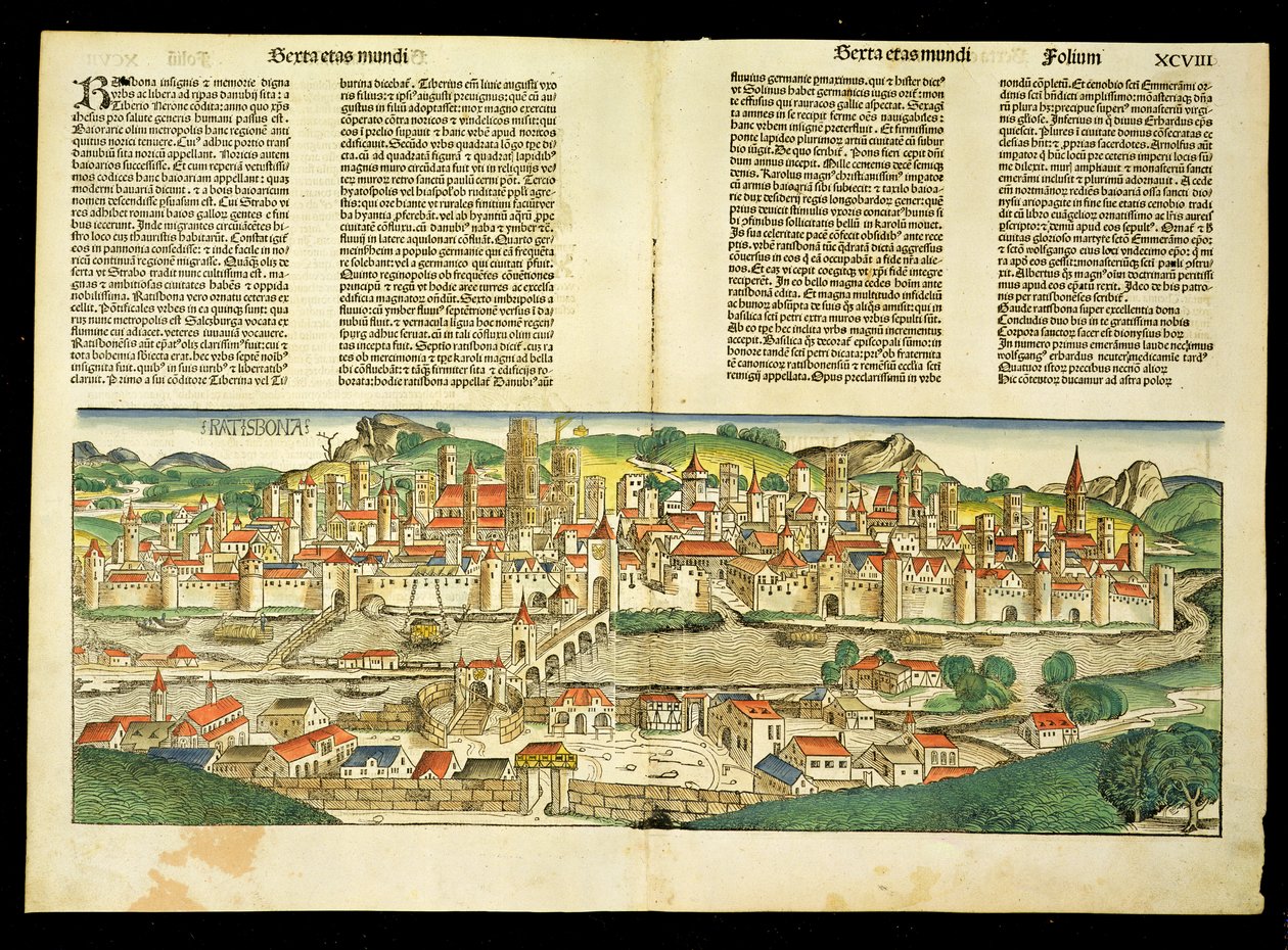 Pohled z ptačí perspektivy na Ratisbon, z Norimberské kroniky od Hartmanna Schedela (1440-1514) 1493 od German School