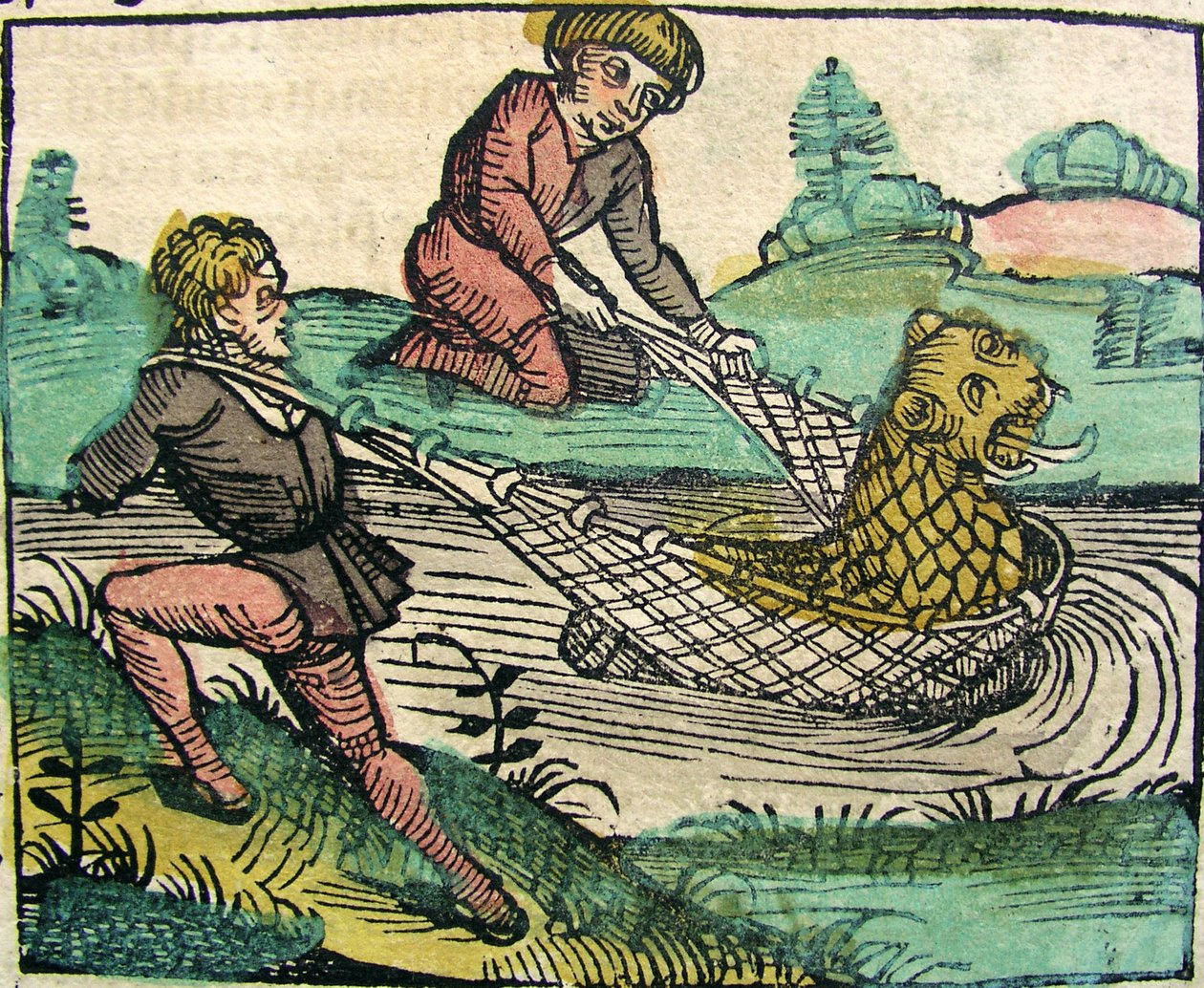 Catching a Lion Cat fish Monster publikované v Norimberské kronice, 1493 od German School