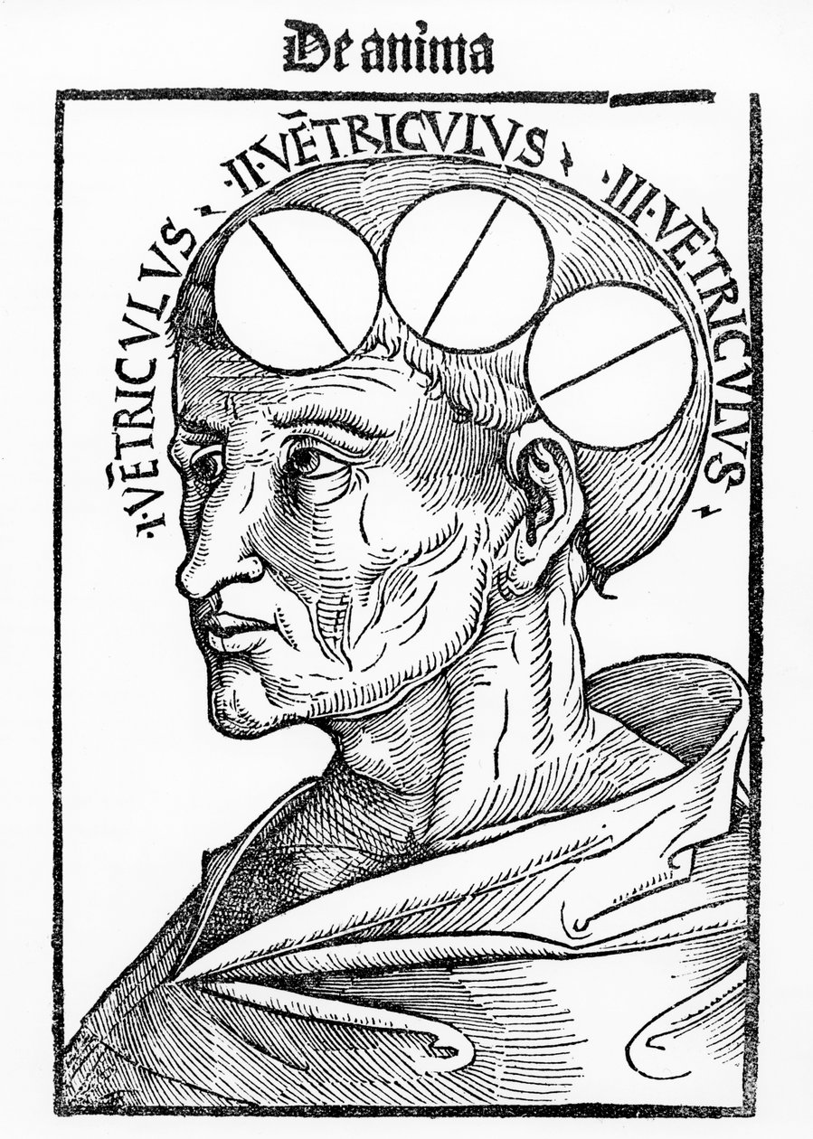 Dutiny mozku, z Philosophia Naturalis od Alberta Magnuse, publikované v Basileji, 1506 od German School
