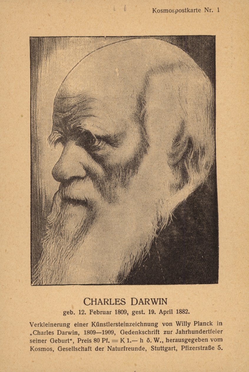 Charles Darwin (1809-1882), anglický přírodovědec (litografie) od German School