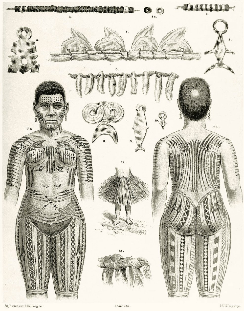 Diagram zobrazující polynéské šperky, ozdoby a návrhy tetování, 1888 od German School
