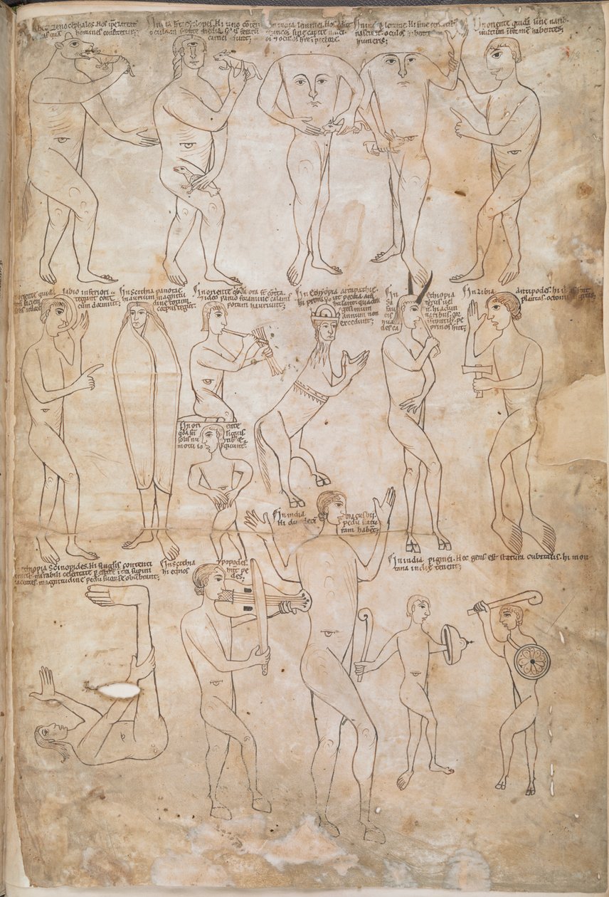 Kresby sedmnácti monstrózních ras, včetně obrů, pygmejů, blemmyae a donestre, ilustrace z „The Arnstein Bible“ od German School