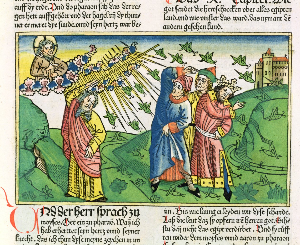 Exodus 10:1-20 Sedm egyptských ran: mor kobylek, z norimberské bible (Biblia Sacra Germanaica) (barevný dřevoryt) od German School