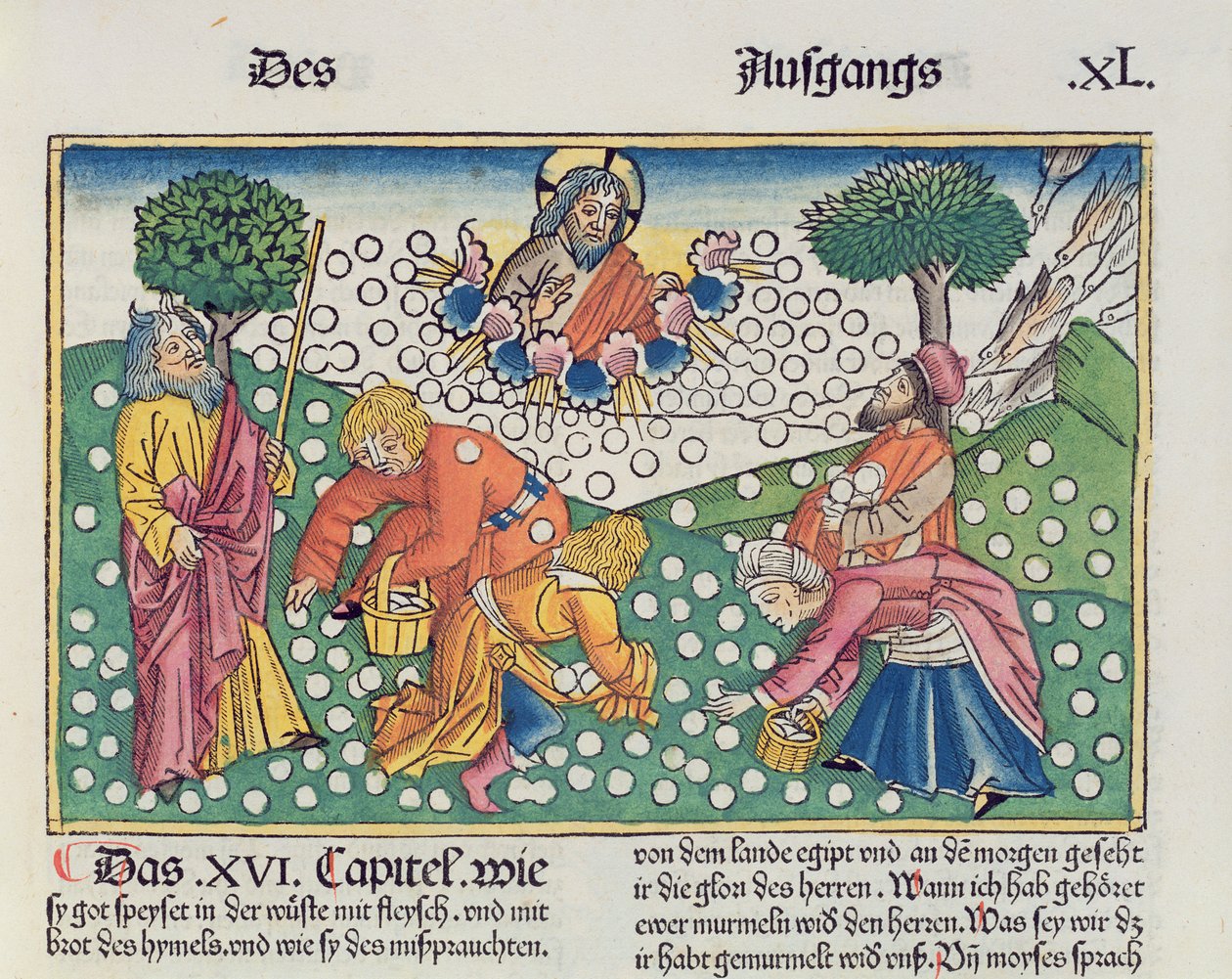 Exodus 16 13-22 Bůh poskytuje Izraelitům křepelky a manu z norimberské bible (Biblia Sacra Germanaica) (barevný dřevoryt) od German School