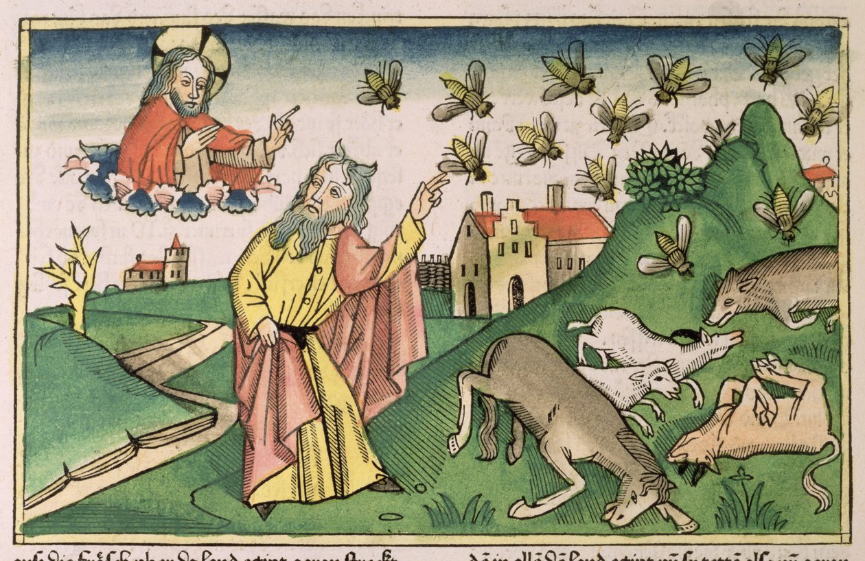 Exodus 8 20-32 Sedm egyptských ran: Mojžíš a roj much, z „Norimberské bible (Biblia Sacra Germanaica)“ (barevný dřevoryt) od German School