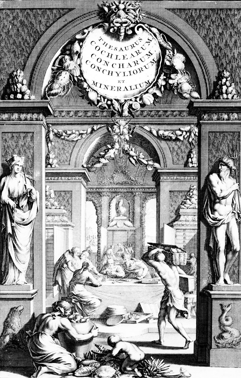 Frontispis k Thesaurus obrázky testace ryb od Georga Eberharda Rumphiuse, vydání vydané v roce 1739 od German School