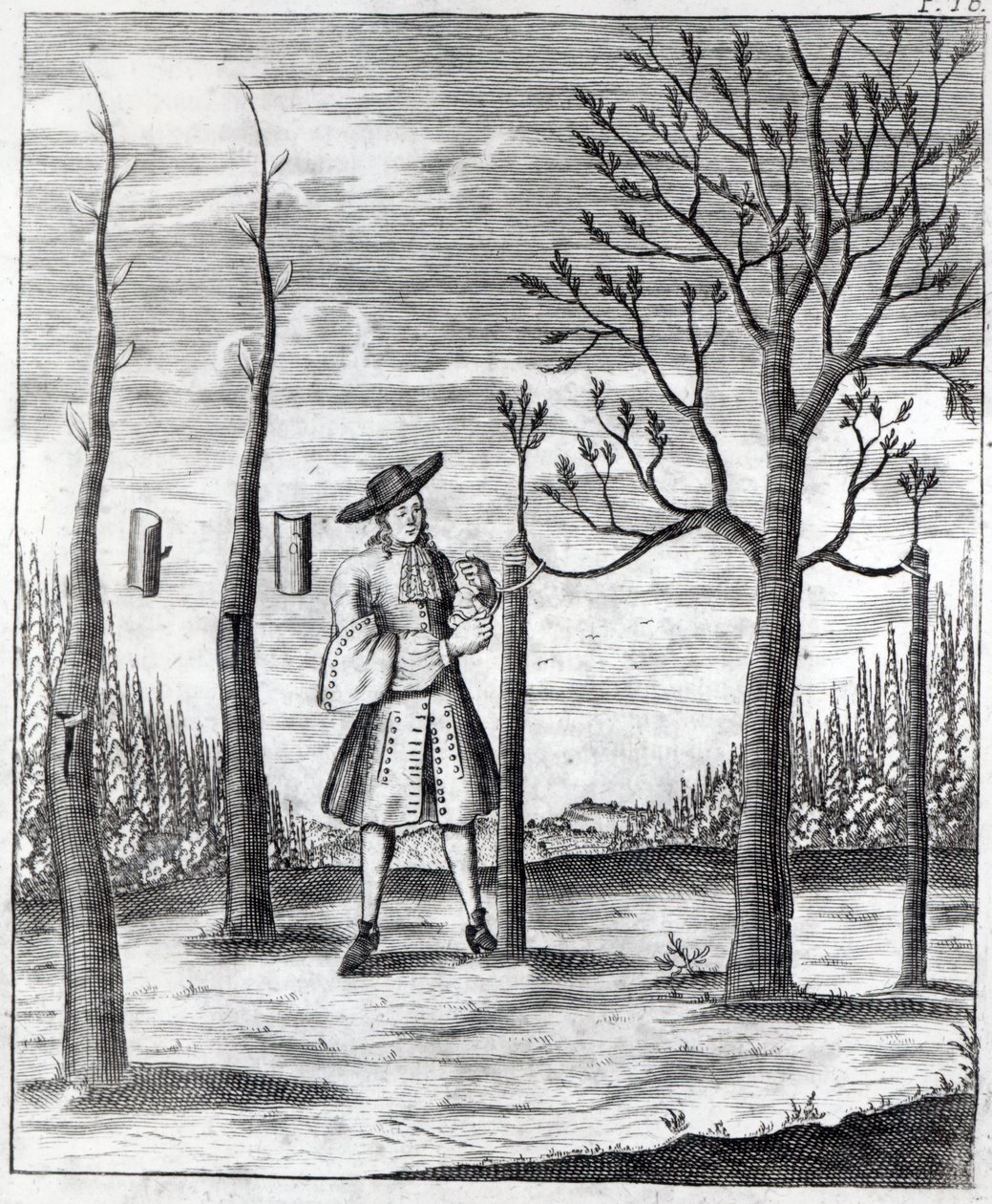 Gardening and Plant Maladies, ilustrace z „Neue Garten-lust“ od Heinricha Hesse, 1696 od German School