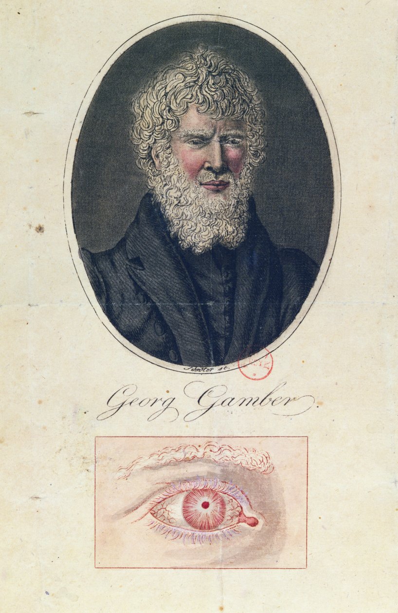 Georg Gamber, albín od German School