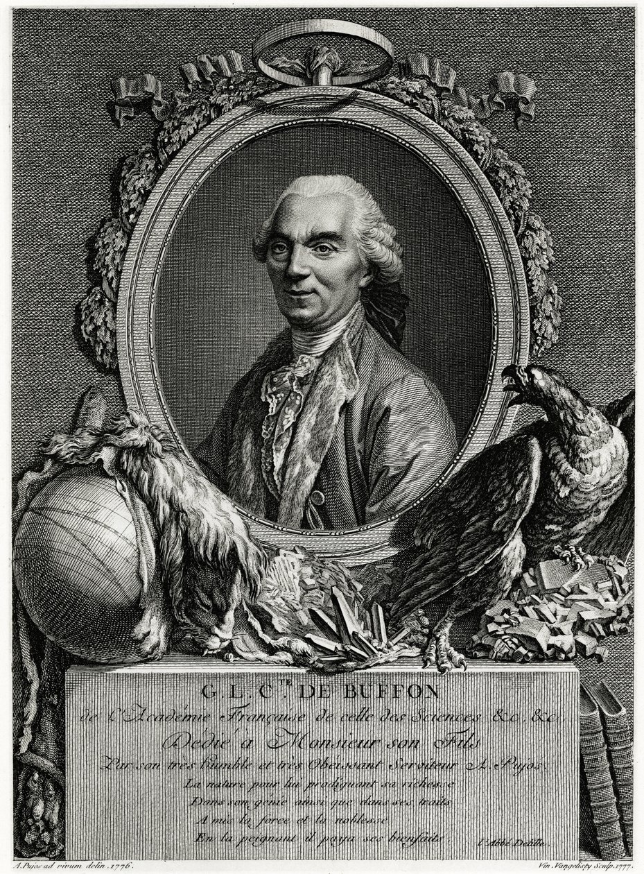 George Louis Leclerc hrabě z Buffonu od German School