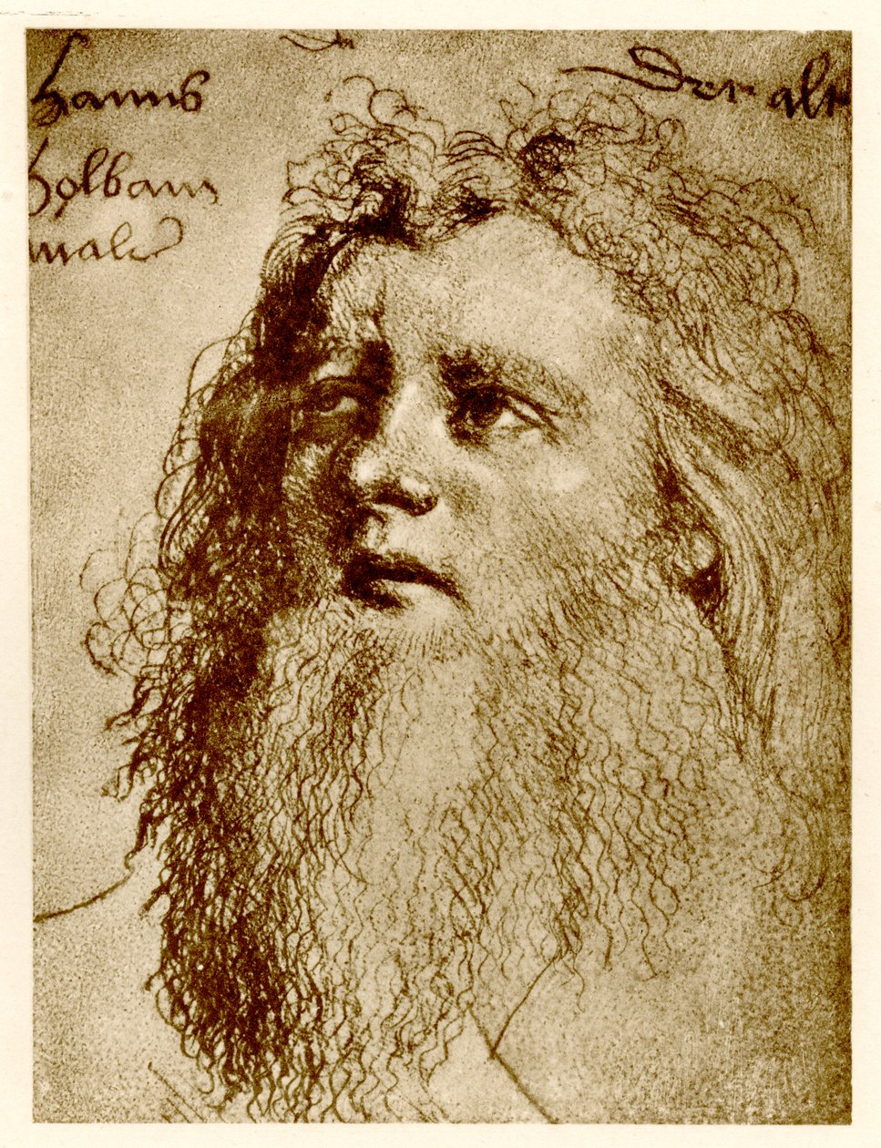 Hans Holbein starší, 1884-90 (fototyp) od German School