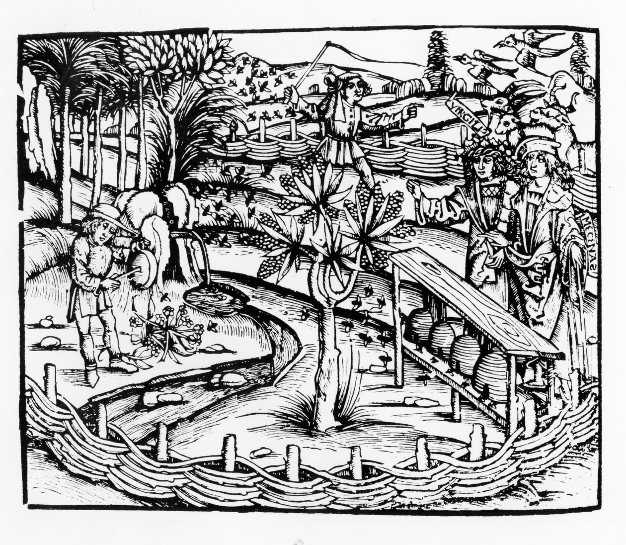 Šťastní manželé pasoucí včely, ilustrace z Georgiků od Virgilia, kniha IV, z vydání Sebastiana Brantsa (1457-1521), vydáno 1502 od German School