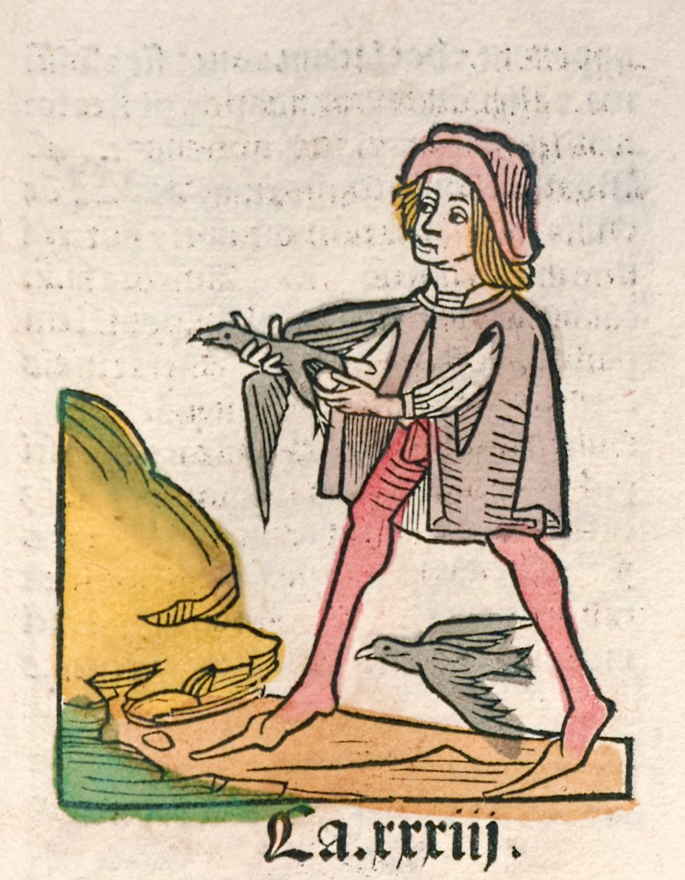 Hortus Sanitatis [Zahrada zdraví] od Jacoba Meydenbacha publikoval v roce 1491 (dřevořez) od German School