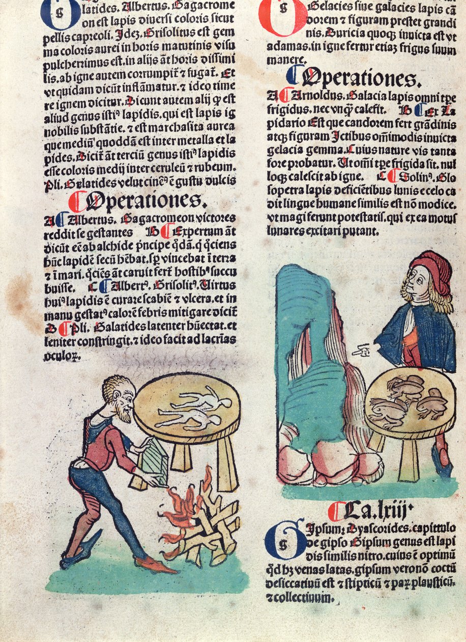 Ilustrovaná stránka z Hortus Sanitatis, 1491 (barevný dřevoryt) od German School