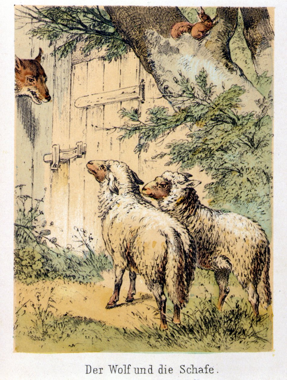 Ilustrace pohádek Franze Hoffmanna „“Pohádky a bajky – Vlk a ovečka““: vlk mluví se dvěma ovečkami. Chromolitografie 19. století. od German School