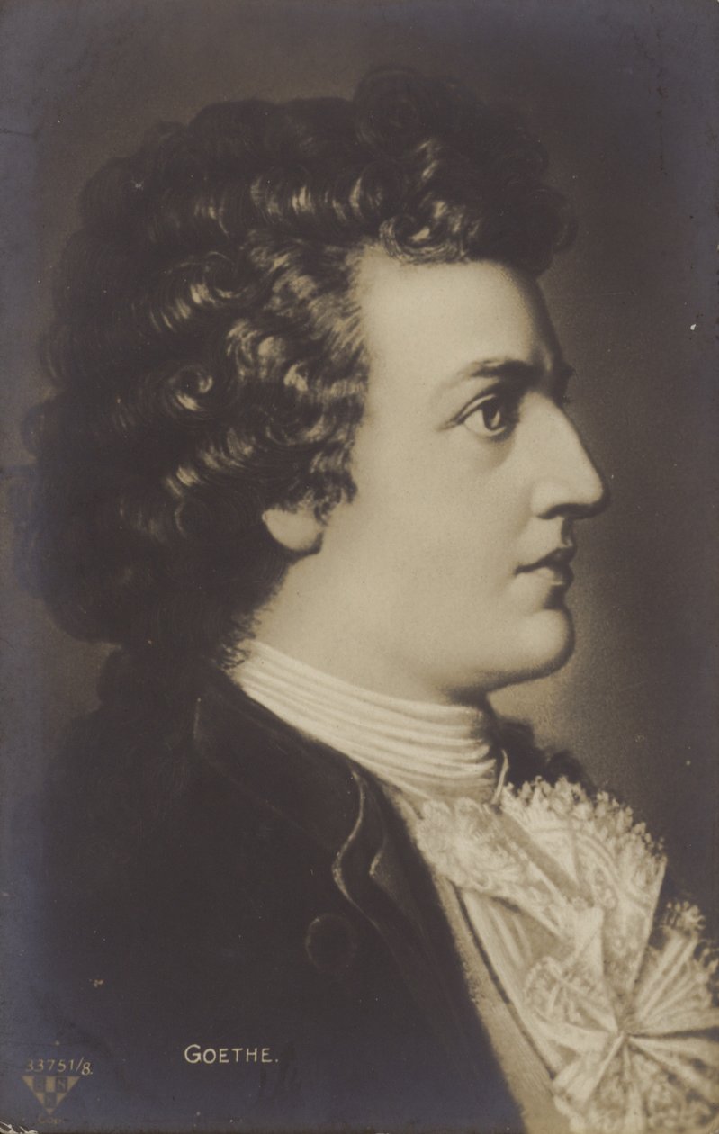Johann Wolfgang von Goethe (1749-1832), německý básník, prozaik a dramatik (litografie) od German School
