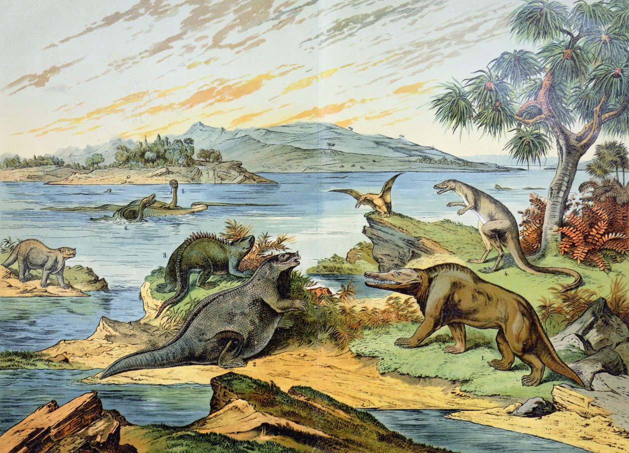 Krajina zobrazující období křídy (před 146 až 65 miliony let) ilustrace z Natural History of Mineralogy and Paleontology od G.H. von Schubert, 1888 od German School