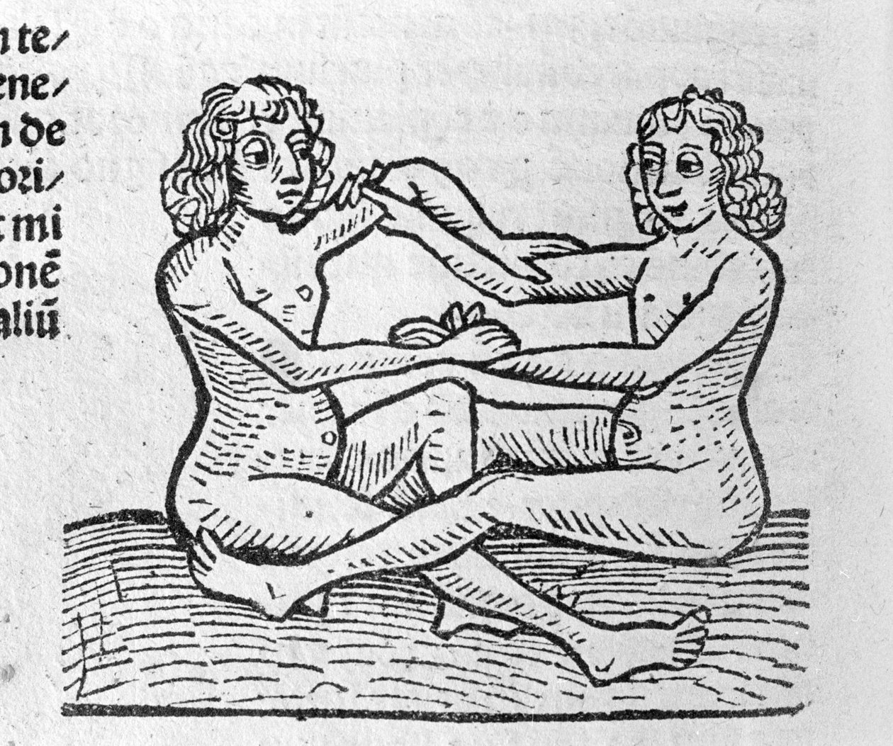Les Gemini - v Traité de Johannes Angelo o velkých spojeních let a jejich revolucích. Augsburg, Erhard Ratdolt od German School