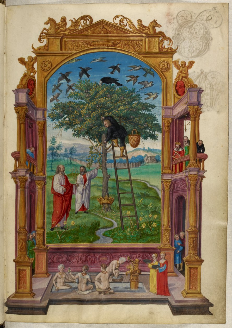 Paní Harley 3469, f.15 Zlatý strom s korunou, Jiné podobenství, z 