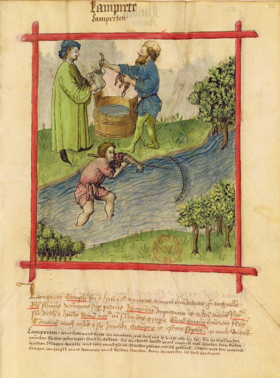 Paní Lat 9333 f.82 Lov úhořů, z Tacuinum Sanitatis od German School