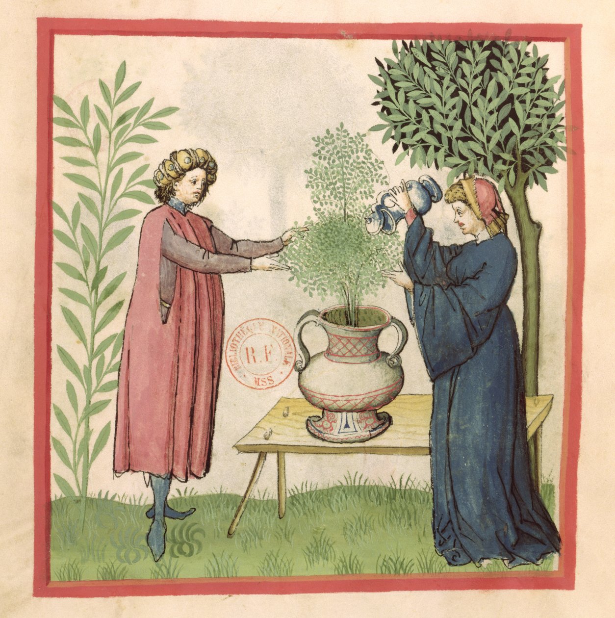 Paní Lat 9333 fol.30 Majoránka, z Tacuinum Sanitatis od German School