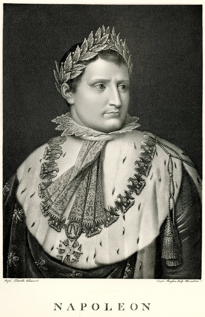 Napoleon I., 1884-90 (fototyp) od German School